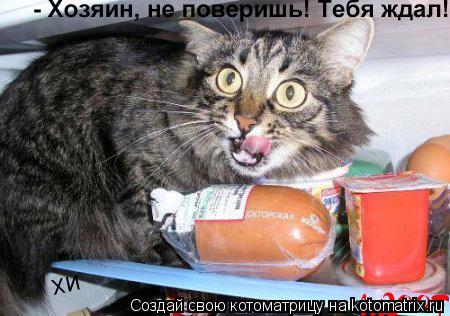 Котоматрица: хи