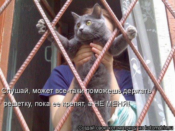 Котоматрица: Слушай, может все-таки поможешь держать  решетку, пока ее крепят, а НЕ МЕНЯ!
