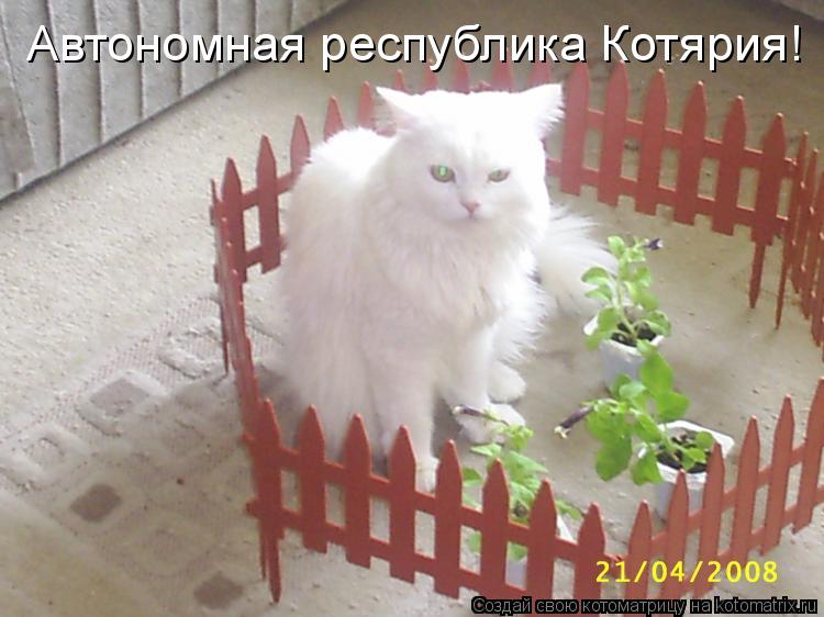 Автономная республика Котярия!... Котоматрица: Автономная республика Котярия!