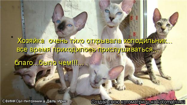 Хозяйка очень тихо открывала холодильник... все время приходилось прислушиваться... благо...было чем... Котоматрица: Хозяйка очень тихо открывала холодильник... все время приходилось прислушиваться... благо...было чем!!!...