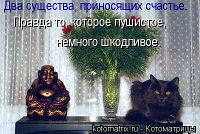 Котоматрица: Два существа, приносящих счастье. Правда то, которое пушистое,   немного шкодливое.