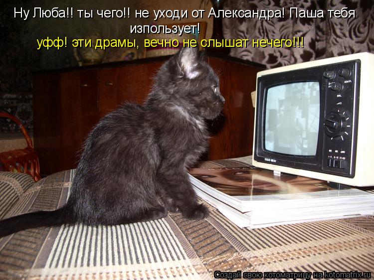 Котоматрица: Ну Люба!! ты чего!! не уходи от Александра! Паша тебя изпользует! уфф! эти драмы, вечно не слышат нечего!!!