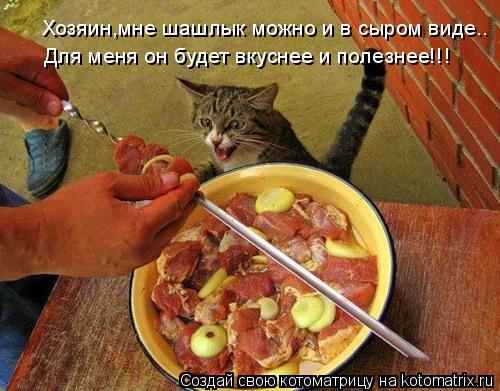 Котоматрица: Хозяин,мне шашлык можно и в сыром виде.. Для меня он будет вкуснее и полезнее!!!