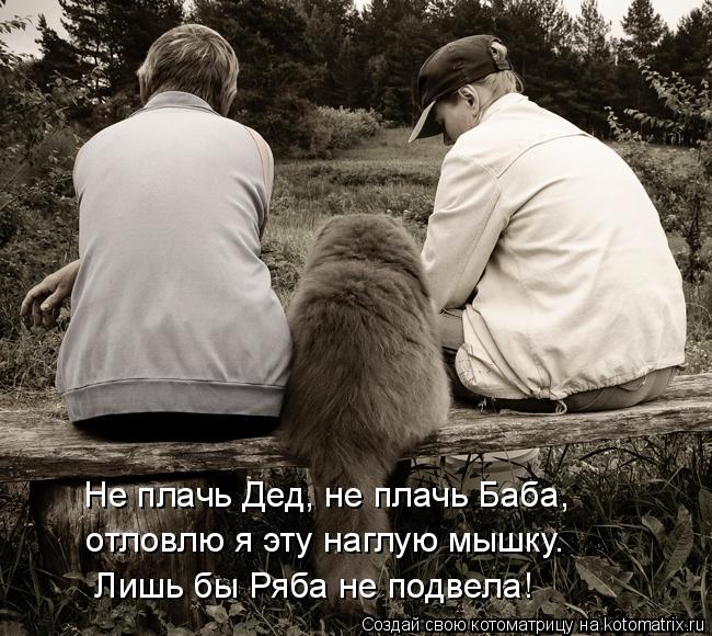 Не плачь Дед, не плачь Баба, отловлю я эту наглую мышку. Лишь бы Ряба не подвела!... Котоматрица: Не плачь Дед, не плачь Баба, отловлю я эту наглую мышку. Лишь бы Ряба не подвела!