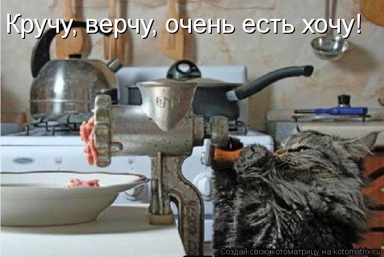 Кручу, верчу, очень есть хочу!... Котоматрица: Кручу, верчу, очень есть хочу!
