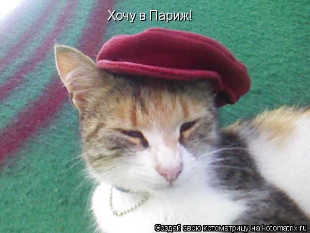 Хочу в Париж!... Котоматрица: Хочу в Париж!