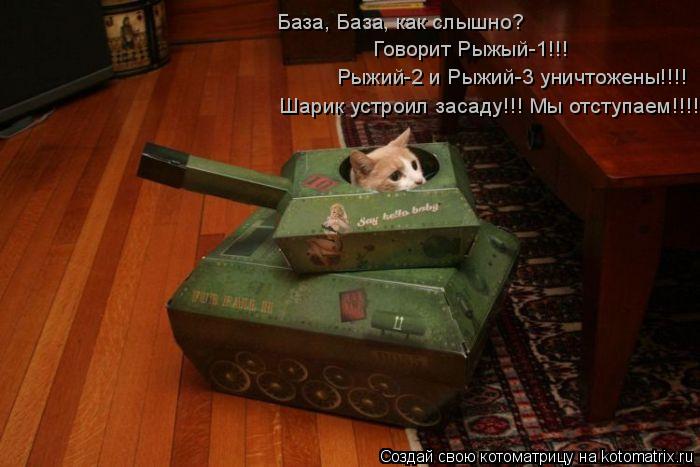 База, База, как слышно? Говорит Рыжый-1!!! Рыжий-2 и Рыжий-3 уничтожены!!!! Шарик устроил засаду!!! М... Котоматрица: База, База, как слышно? Говорит Рыжый-1!!! Рыжий-2 и Рыжий-3 уничтожены!!!! Шарик устроил засаду!!! Мы отступаем!!!!