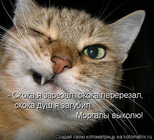 - Скока я зарезал, скока перерезал, скока душ я загубил… Моргалы выколю!... Котоматрица: - Скока я зарезал, скока перерезал, скока душ я загубил… Моргалы выколю!