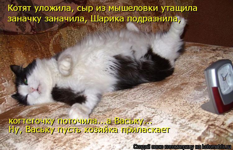 Котят уложила, сыр из мышеловки утащила заначку заначила, Шарика подразнила, когтеточку поточила...а ... Котоматрица: Котят уложила, сыр из мышеловки утащила заначку заначила, Шарика подразнила, когтеточку поточила...а Ваську... Ну, Ваську пусть хозяйка прила