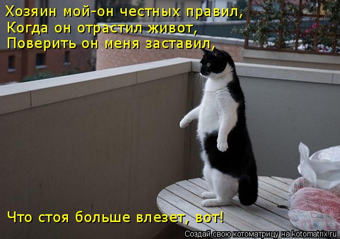 Хозяин мой-он честных правил, Когда он отрастил живот, Поверить он меня заставил, Что стоя больше вле... Котоматрица: Хозяин мой-он честных правил, Когда он отрастил живот, Поверить он меня заставил, Что стоя больше влезет, вот!