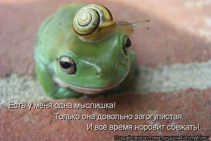 - Есть у меня одна мыслишка! Только она довольно загогулистая... И всё время норовит сбежать!... Котоматрица: - Есть у меня одна мыслишка! Только она довольно загогулистая... И всё время норовит сбежать!