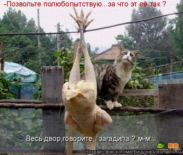 -Позвольте полюбопытствую...за что эт её так ? Весь двор,говорите, загадила ? м-м...... Котоматрица: -Позвольте полюбопытствую...за что эт её так ? Весь двор,говорите, загадила ? м-м...