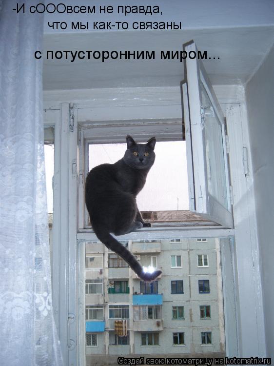 что мы как-то связаны -И сОООвсем не правда, с потусторонним миром...... Котоматрица: что мы как-то связаны -И сОООвсем не правда, с потусторонним миром...
