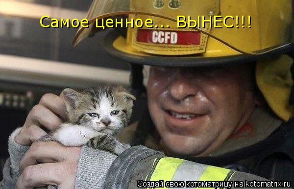 Самое ценное... ВЫНЕС!!!... Котоматрица: Самое ценное... ВЫНЕС!!!