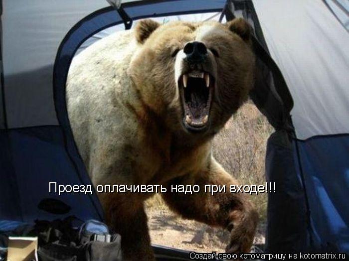 Котоматрица: Проезд оплачивать надо при входе!!!