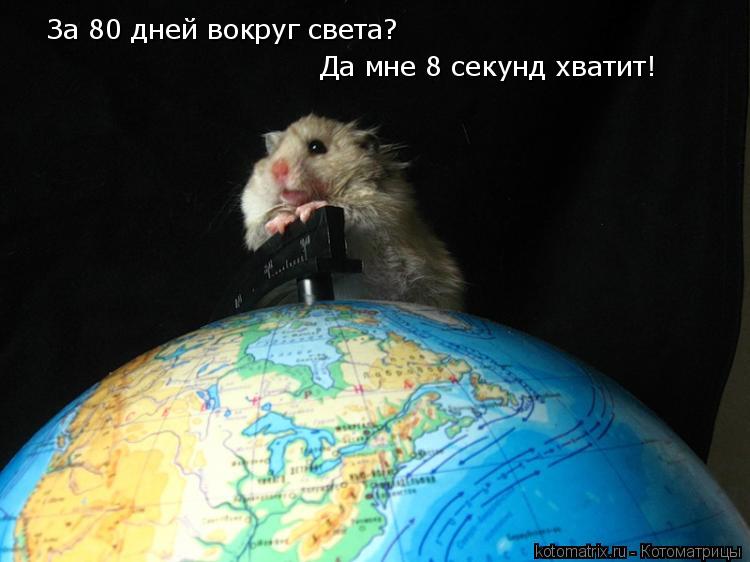 За 80 дней вокруг света? Да мне 8 секунд хватит!... Котоматрица: За 80 дней вокруг света? Да мне 8 секунд хватит!
