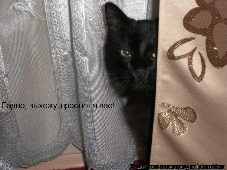 Ладно, выхожу, простил я вас!... Котоматрица: Ладно, выхожу, простил я вас!