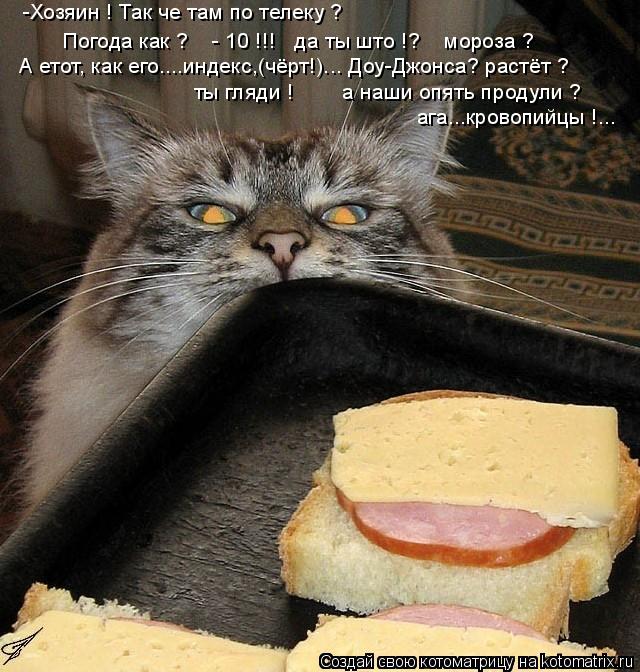Котоматрица: А етот, как его....индекс,(чёрт!)... Доу-Джонса? растёт ? Погода как ?    - 10 !!!   да ты што !?    мороза ? -Хозяин ! Так че там по телеку ? ты гляд