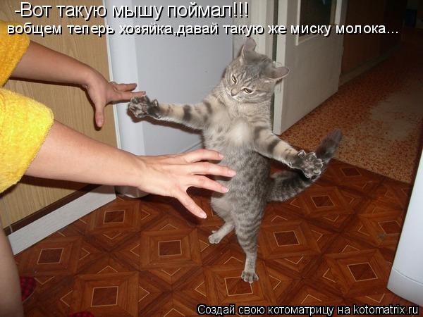 Котоматрица: -Вот такую мышу поймал!!! вобщем теперь хозяйка,давай такую же миску молока...
