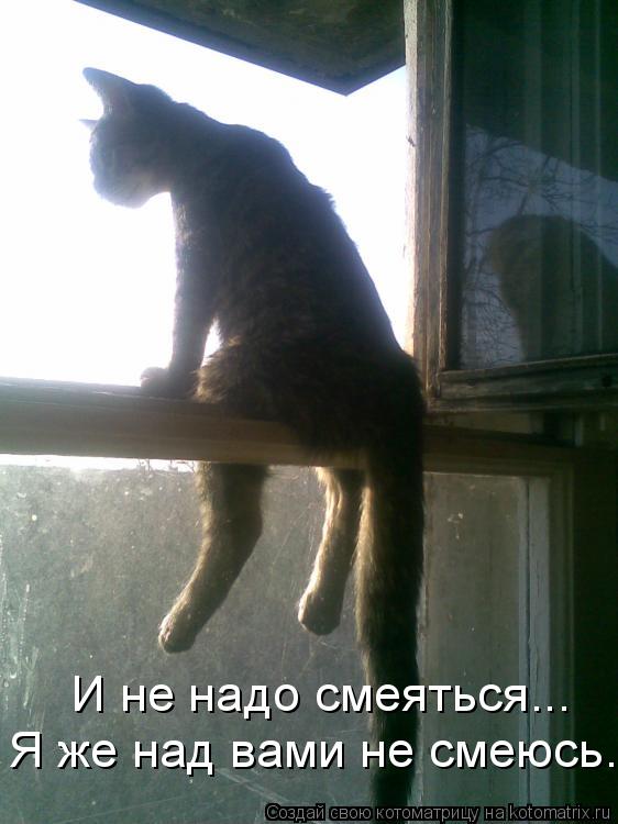 Котоматрица: И не надо смеяться... Я же над вами не смеюсь.