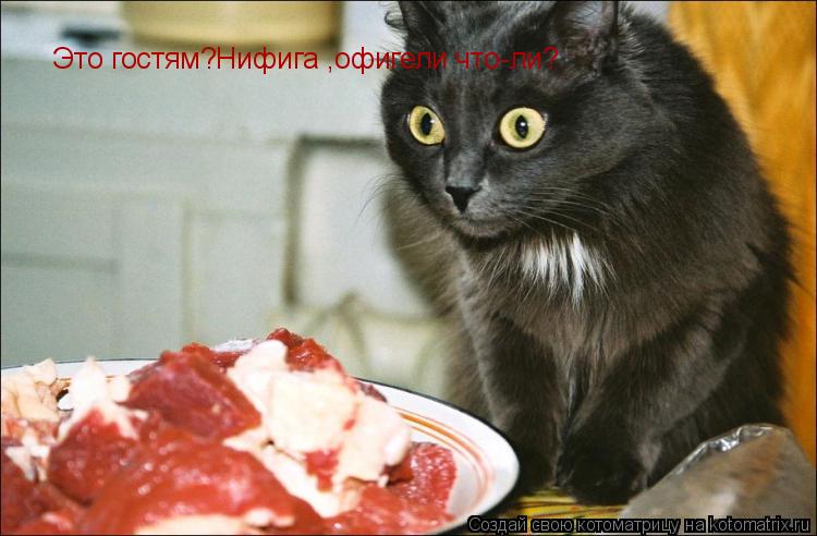 Котоматрица: Это гостям?Нифига ,офигели что-ли?