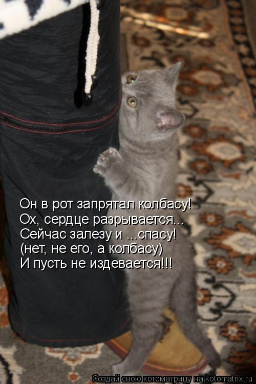 Котоматрица: Он в рот запрятал колбасу! Ох, сердце разрывается... Сейчас залезу и ...спасу! (нет, не его, а колбасу) И пусть не издевается!!!