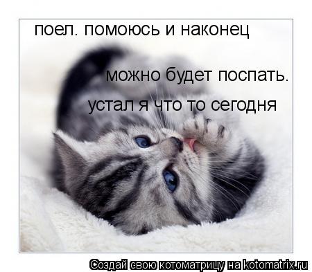 Котоматрица: поел. помоюсь и наконец можно будет поспать. устал я что то сегодня