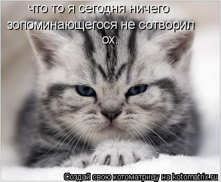 что то я сегодня ничего зопоминающегося не сотворил ох.... Котоматрица: что то я сегодня ничего зопоминающегося не сотворил ох.