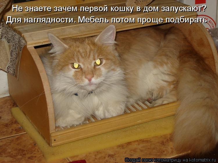 http://kotomatrix.ru/images/lolz/2009/12/16/432730.jpg
