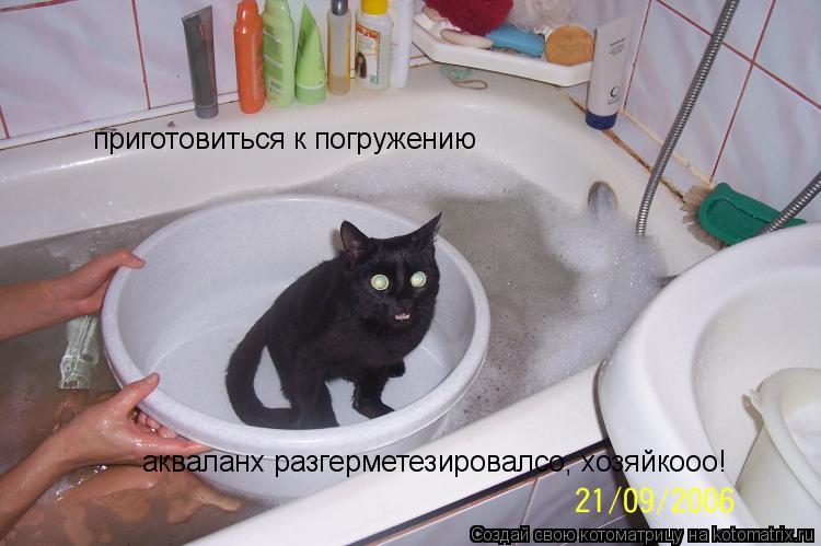приготовиться к погружению акваланх разгерметезировалсо, хозяйкооо!... Котоматрица: приготовиться к погружению акваланх разгерметезировалсо, хозяйкооо!