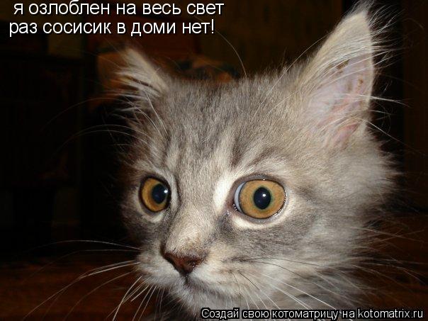 Котоматрица: я озлоблен на весь свет раз сосисик в доми нет!