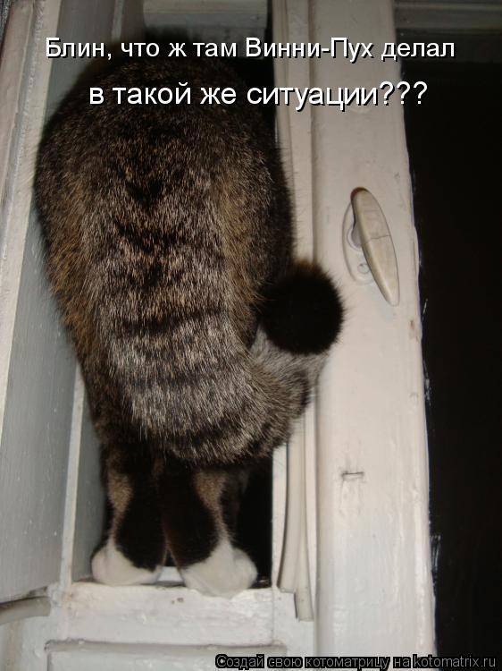 Блин, что ж там Винни-Пух делал в такой же ситуации???... Котоматрица: Блин, что ж там Винни-Пух делал в такой же ситуации???