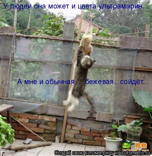 У людей она может и цвета ультрамарин... А мне и обычная,....бежевая...сойдёт...... Котоматрица: У людей она может и цвета ультрамарин... А мне и обычная,....бежевая...сойдёт...