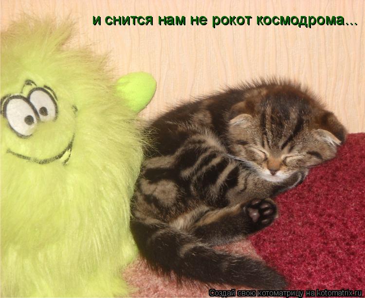 и снится нам не рокот космодрома...... Котоматрица: и снится нам не рокот космодрома...