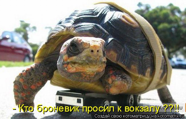 - Кто броневик просил к вокзалу ??!!... Котоматрица: - Кто броневик просил к вокзалу ??!!