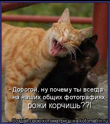 - Дорогой, ну почему ты всегда на наших общих фотографиях рожи корчишь??!... Котоматрица: - Дорогой, ну почему ты всегда на наших общих фотографиях рожи корчишь??!