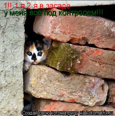 1!! 1 я 2 я в засаде у меня всё под контролем!!!... Котоматрица: 1!! 1 я 2 я в засаде у меня всё под контролем!!!