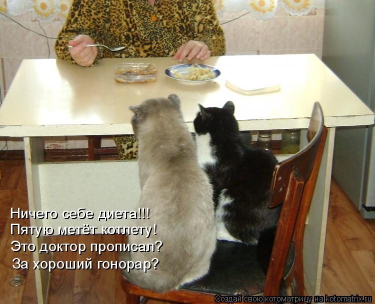 Ничего себе диета!!! Пятую метёт котлету! Это доктор прописал? За хороший гонорар?... Котоматрица: Ничего себе диета!!! Пятую метёт котлету! Это доктор прописал? За хороший гонорар?