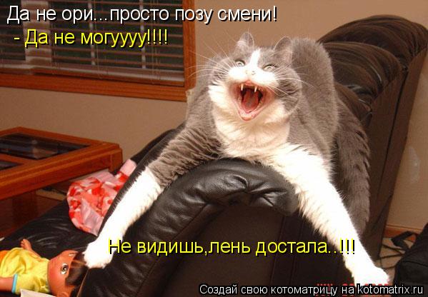 Да не ори...просто позу смени! - Да не могуууу!!!! Не видишь,лень достала..!!!... Котоматрица: Да не ори...просто позу смени! - Да не могуууу!!!! Не видишь,лень достала..!!!