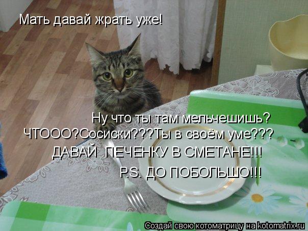 Мать давай жрать уже! Ну что ты там мельчешишь? ЧТООО?Сосиски???Ты в своём уме??? ДАВАЙ ПЕЧЕНКУ В СМ... Котоматрица: Мать давай жрать уже! Ну что ты там мельчешишь? ЧТООО?Сосиски???Ты в своём уме??? ДАВАЙ ПЕЧЕНКУ В СМЕТАНЕ!!! Р.S. ДО ПОБОЛЬШО!!!