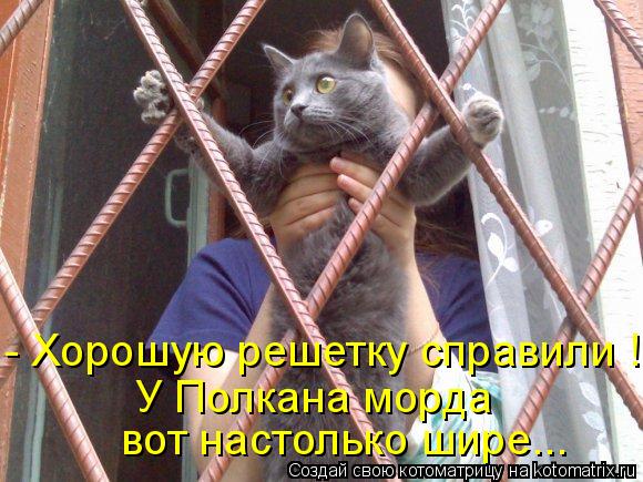 вот настолько шире... У Полкана морда - Хорошую решетку справили !... Котоматрица: вот настолько шире... У Полкана морда - Хорошую решетку справили !