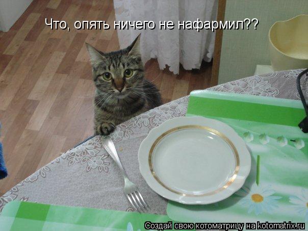 Котоматрица: Что, опять ничего не нафармил??