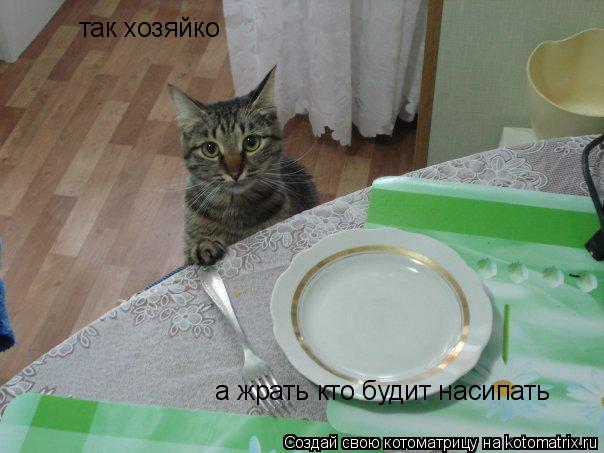 Котоматрица: так хозяйко  а жрать кто будит насипать