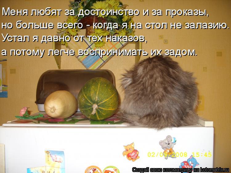 Меня любят за достоинство и за проказы, но больше всего - когда я на стол не залазию. Устал я давно о... Котоматрица: Меня любят за достоинство и за проказы, но больше всего - когда я на стол не залазию. Устал я давно от тех наказов, а потому легче воспринимат