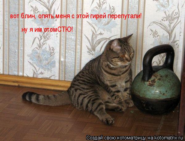 вот блин, опять меня с этой гирей перепутали! вот блин, опять меня с этой гирей перепутали! ну я им о... Котоматрица: вот блин, опять меня с этой гирей перепутали! вот блин, опять меня с этой гирей перепутали! ну я им отомСТЮ!