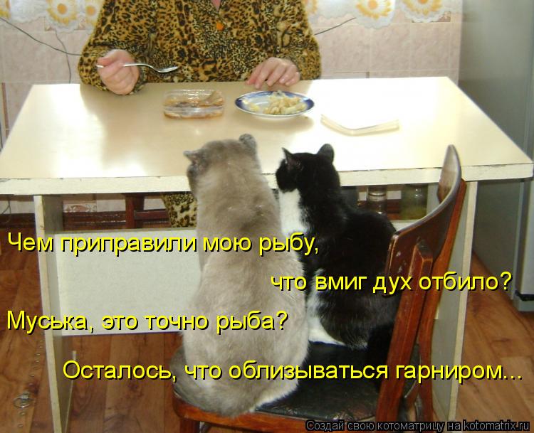 Чем приправили мою рыбу, что вмиг дух отбило? Муська, это точно рыба? Осталось, что облизываться гар... Котоматрица: Чем приправили мою рыбу, что вмиг дух отбило? Муська, это точно рыба? Осталось, что облизываться гарниром...