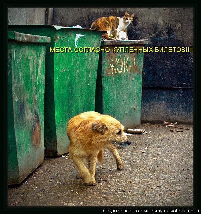 ..МЕСТА СОГЛАСНО КУПЛЕННЫХ БИЛЕТОВ!!!!... Котоматрица: ..МЕСТА СОГЛАСНО КУПЛЕННЫХ БИЛЕТОВ!!!!