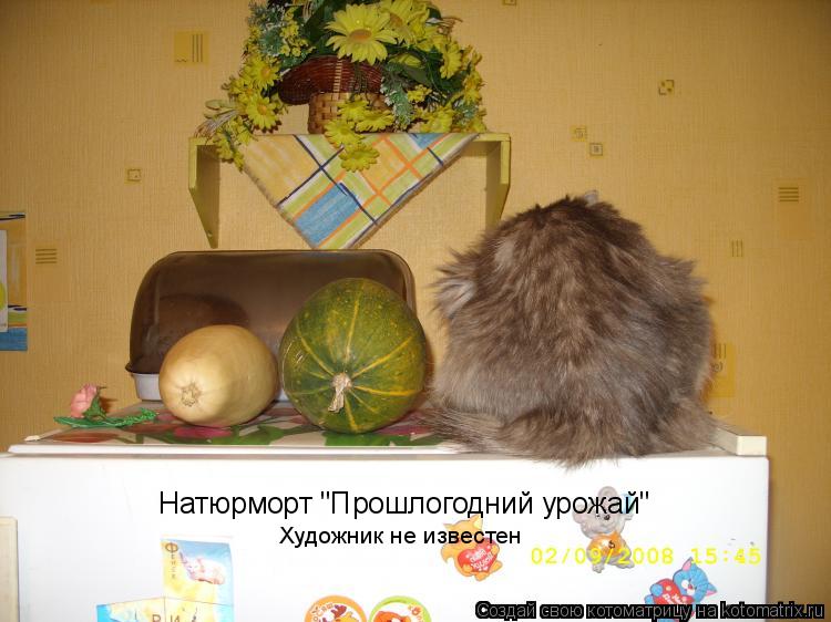 Котоматрица: Натюрморт "Прошлогодний урожай" Художник не известен