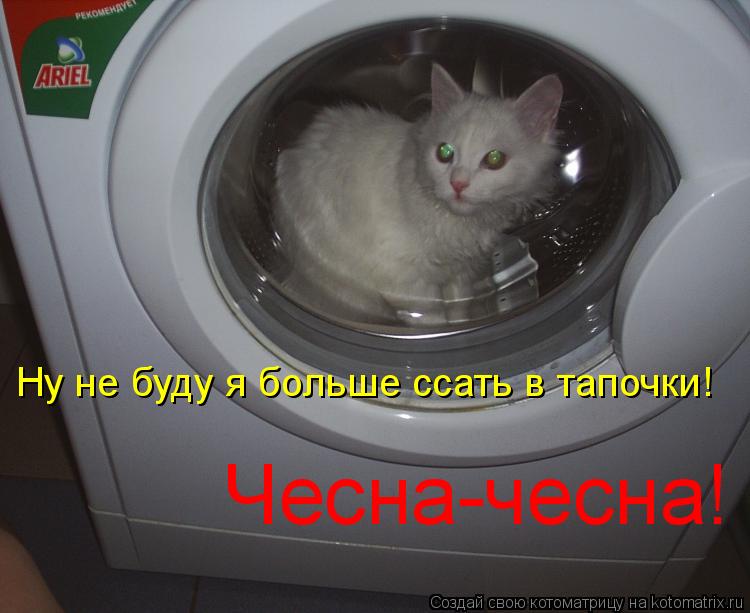 Котоматрица: Ну не буду я больше ссать в тапочки!  Чесна-чесна!