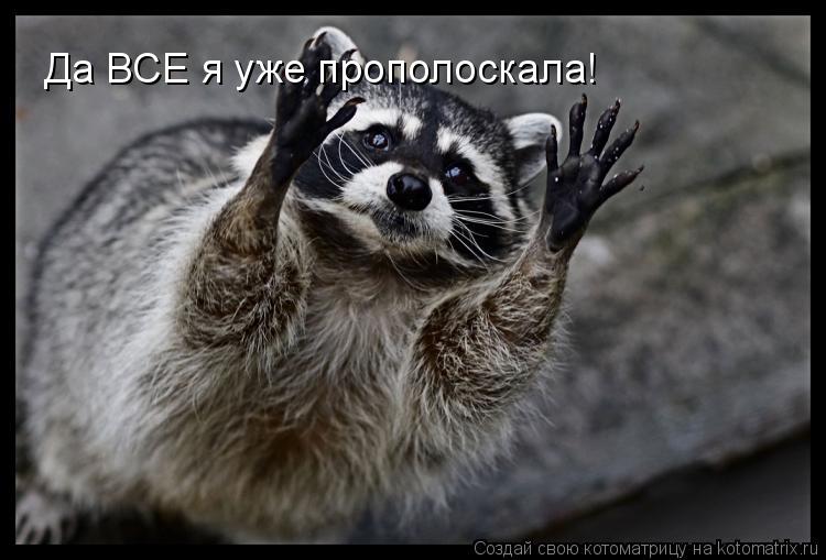 Котоматрица: Да ВСЕ я уже прополоскала!